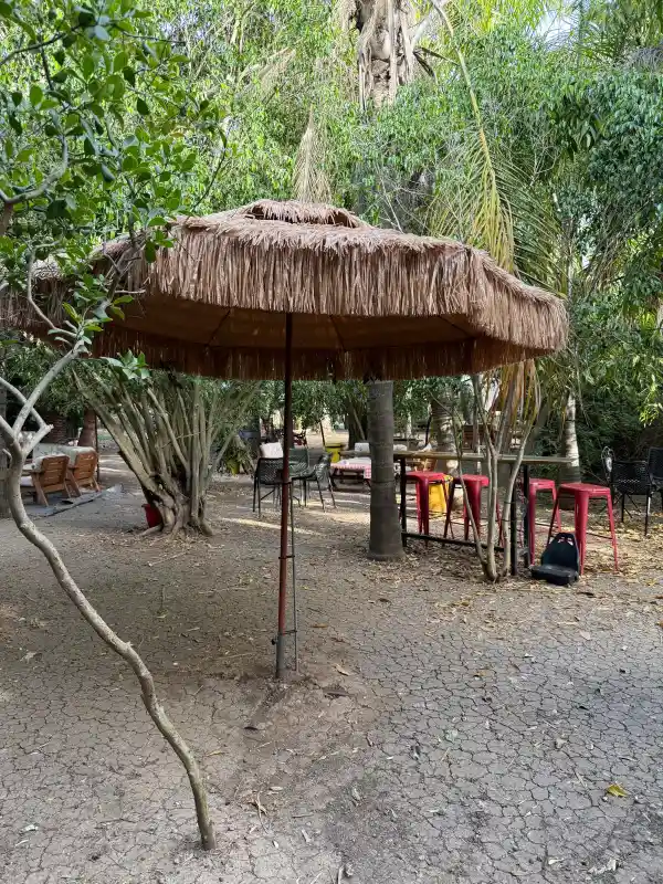 נהנים בטבע לאירועים משפחתיים