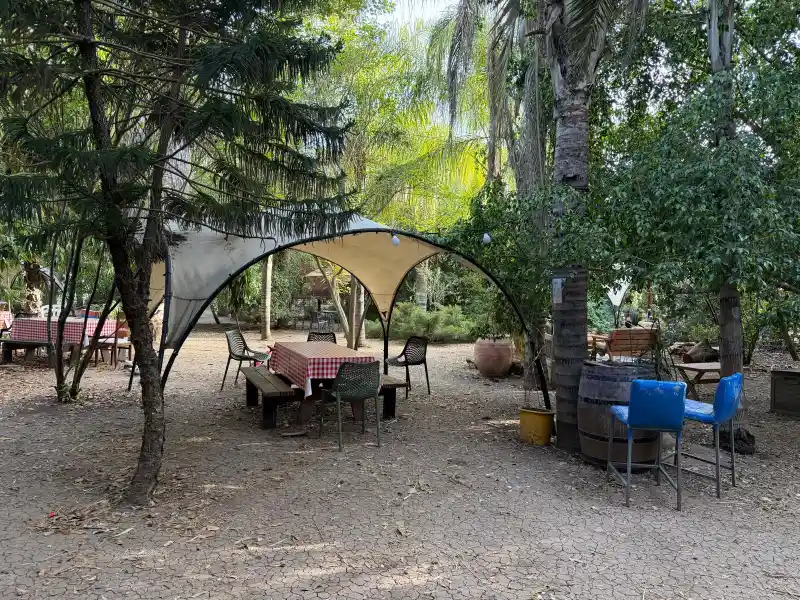 נהנים בטבע לאירוע משפחתי