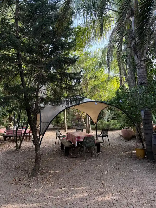 נהנים בטבע לאירוע בת מצווה