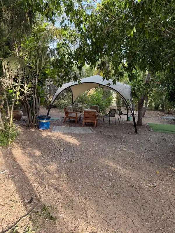 נהנים בטבע ליום הולדת משפחתית