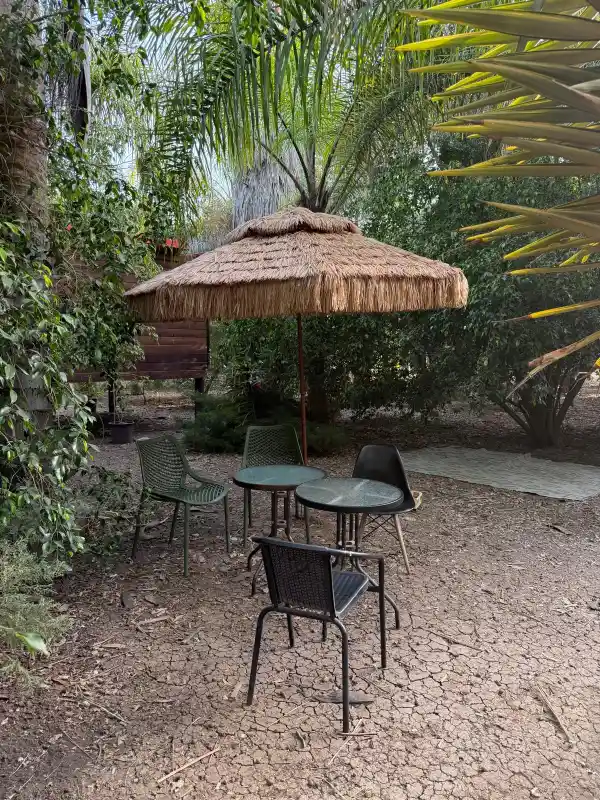 נהנים בטבע לימי הולדת