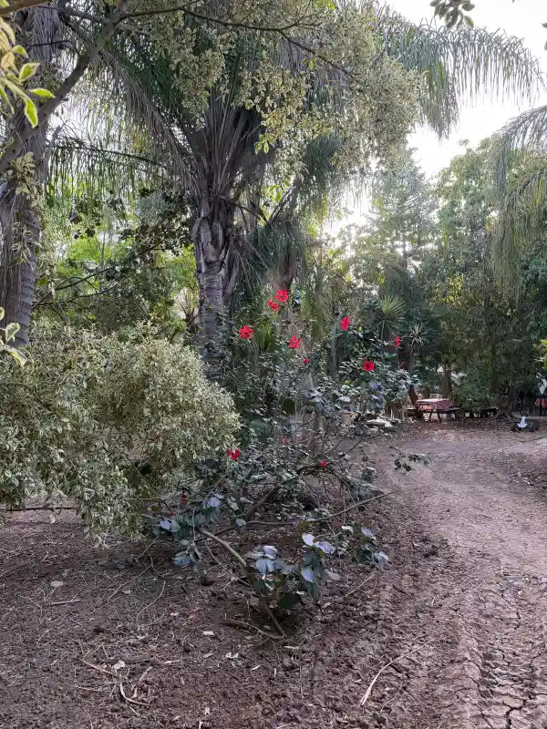 נהנים בטבע לימי הולדת בטבע