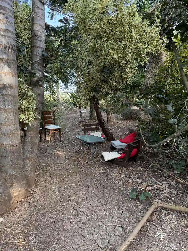 נהנים בטבע לאירוע בטבע