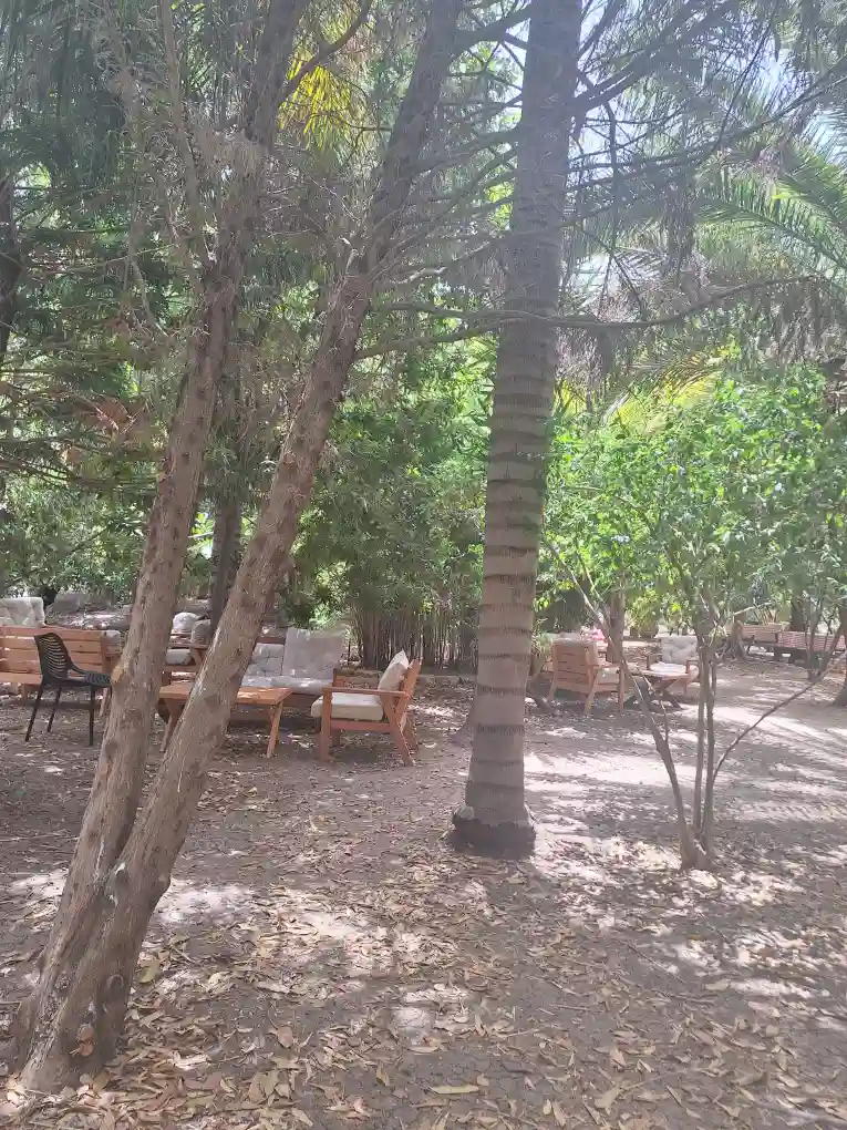 נהנים בטבע אירוע