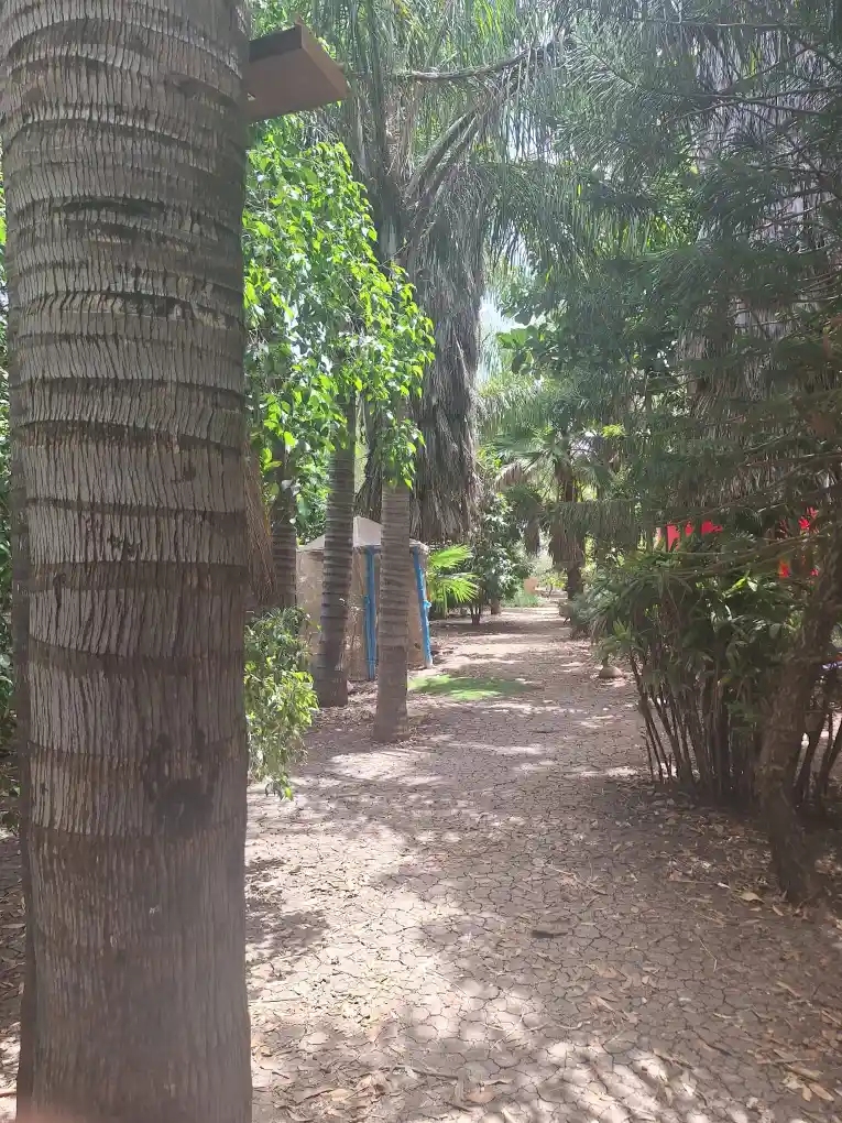 בנהנים בטבע אירועים