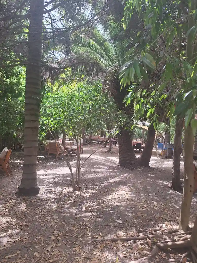 נהנים בטבע אירועים משפחתיים