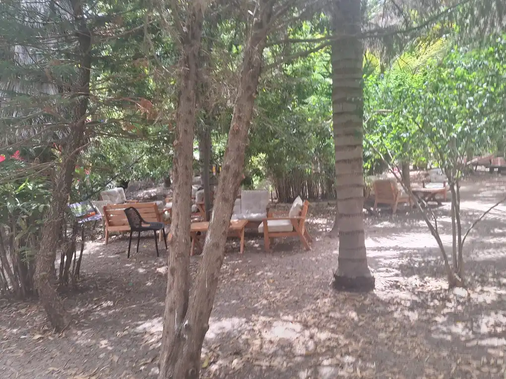 נהנים בטבע אירועי גיבוש