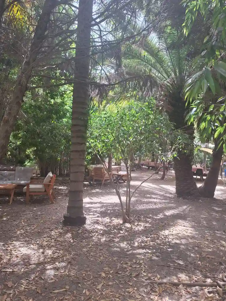 נהנים בטבע אירועי חברה