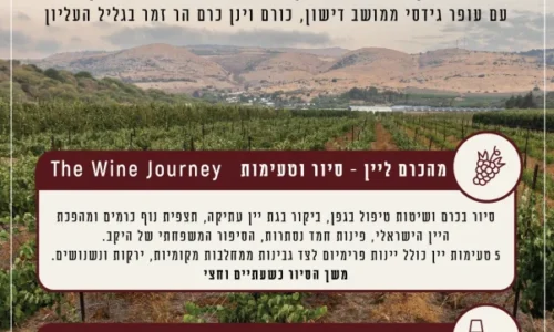 יום גיבוש בגליל העליון